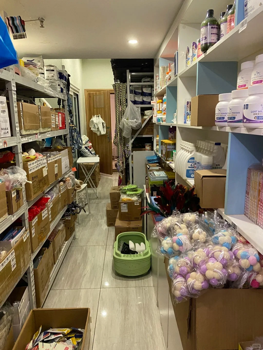 宠物行业创业指南|开一家盈利的宠物用品店