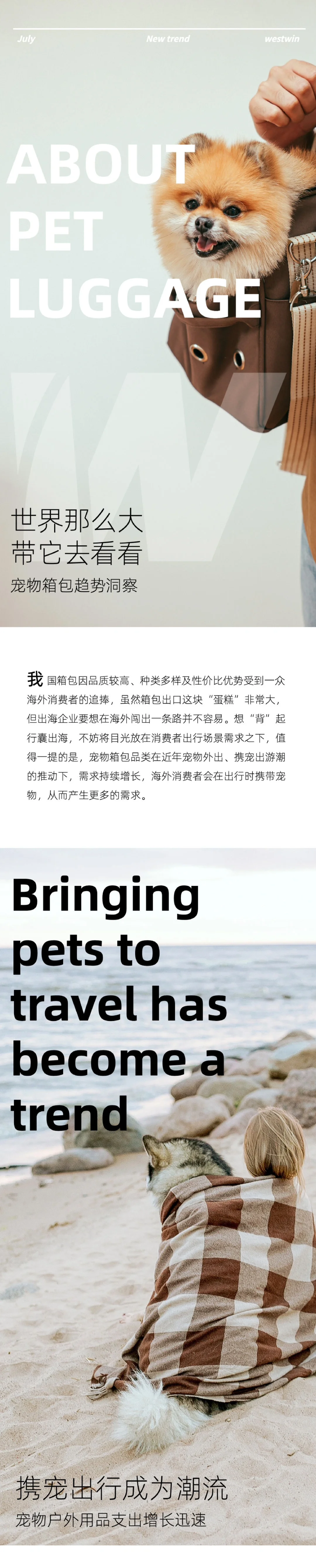 2023宠物箱包趋势洞察