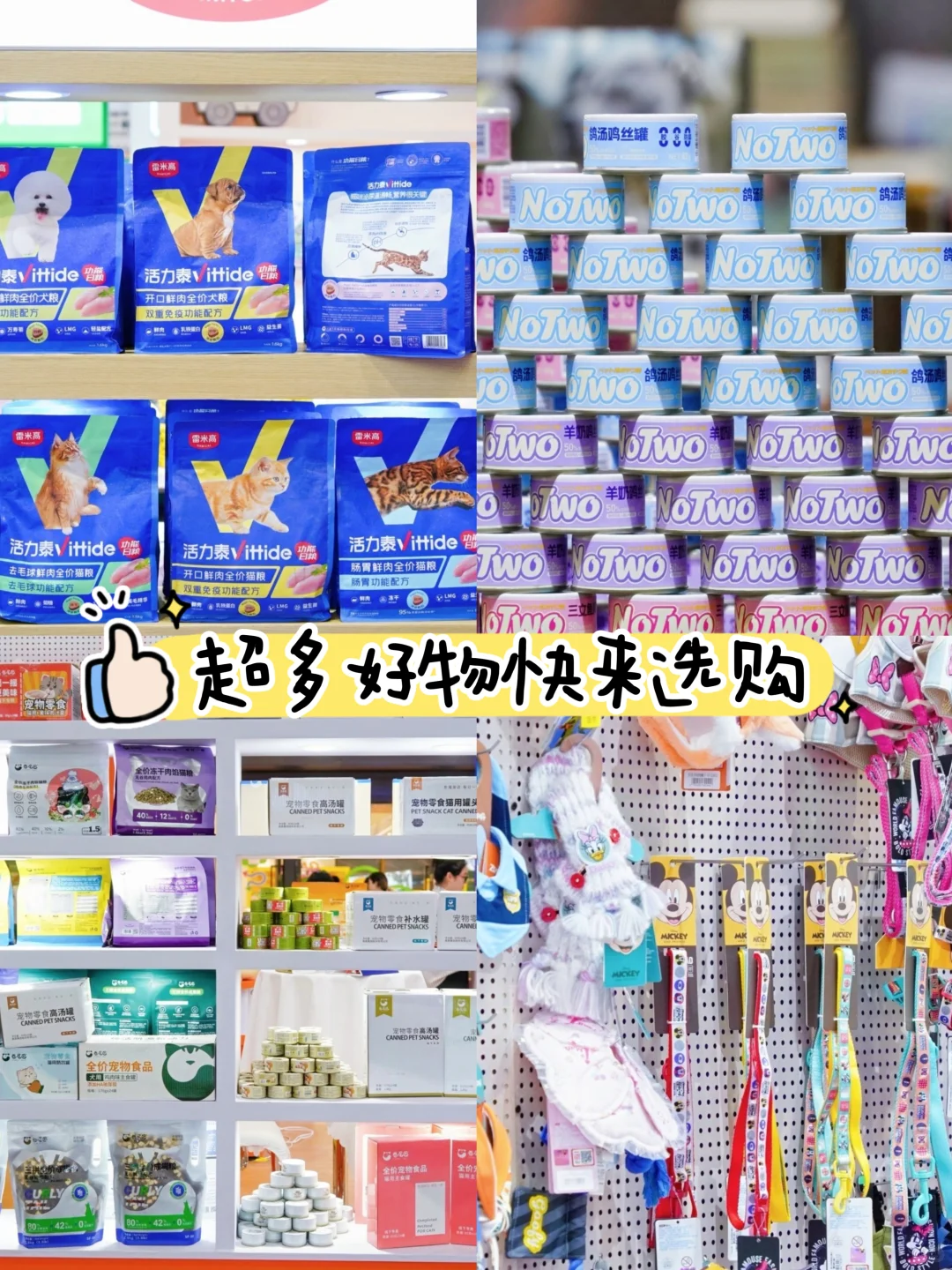 浙江人又幸福啦！华东宠物展开幕啦