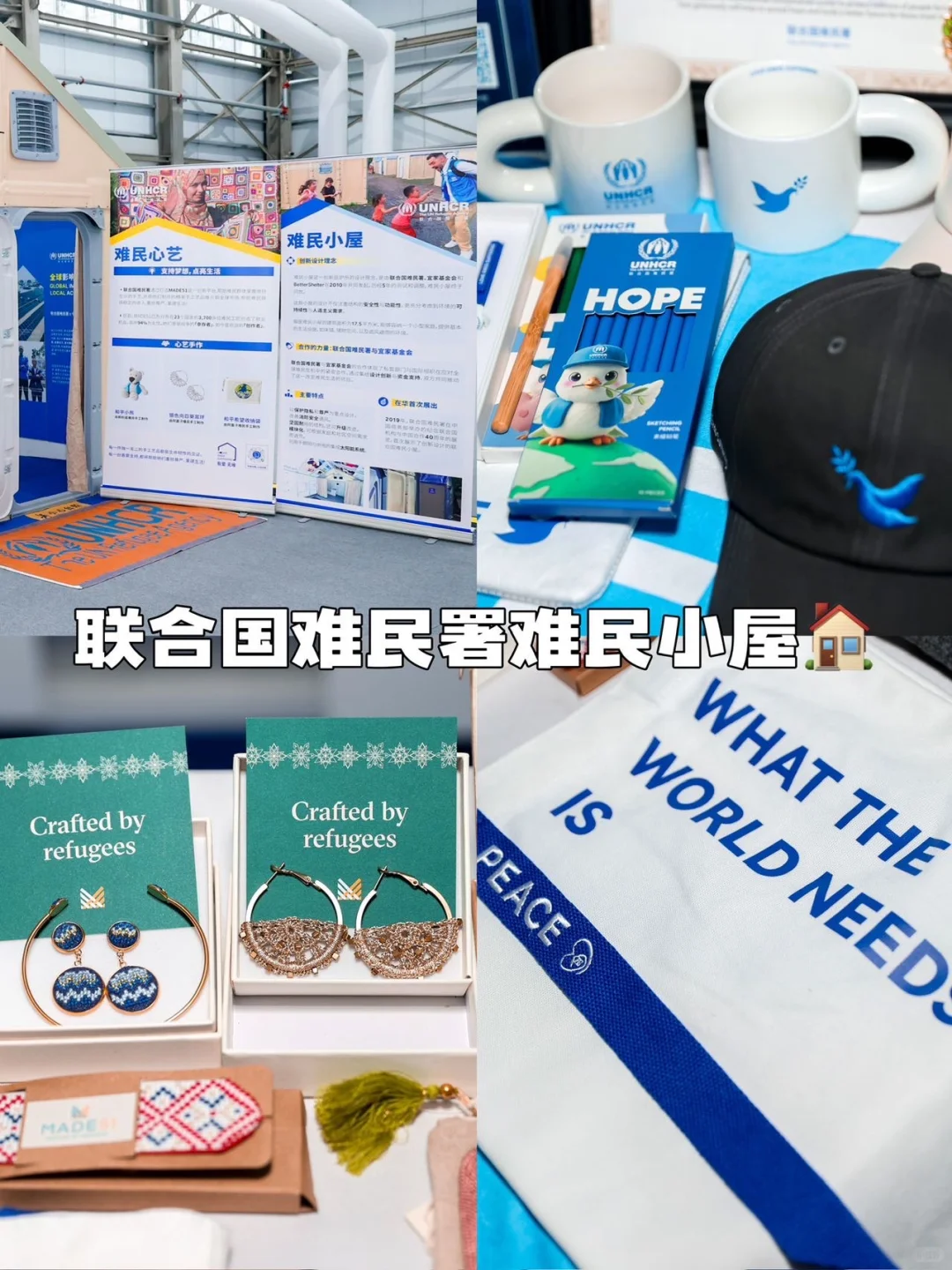 体验可持续全球大会前沿视角?涨知识领一堆