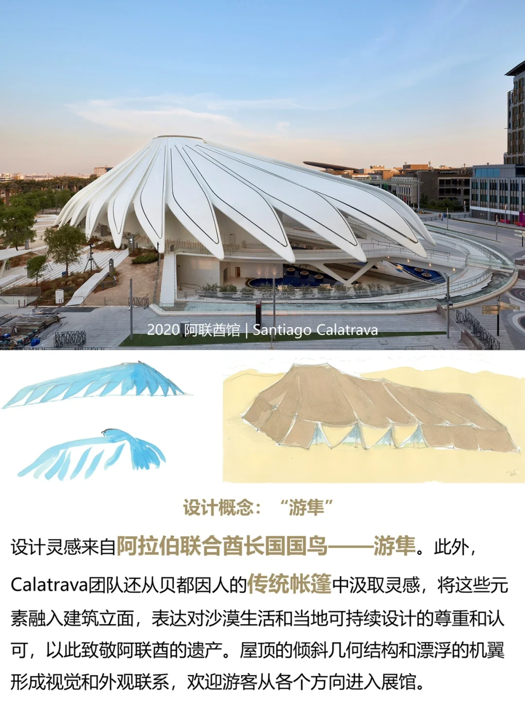 28-36《1000个建筑的诞生》