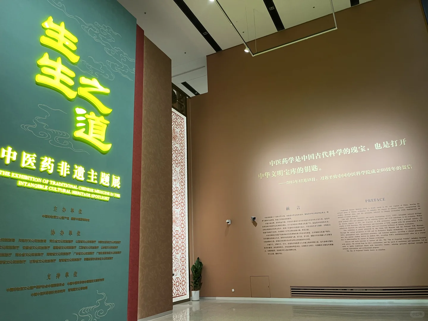 被中药香偷袭的看展体验!?策展人太会了!