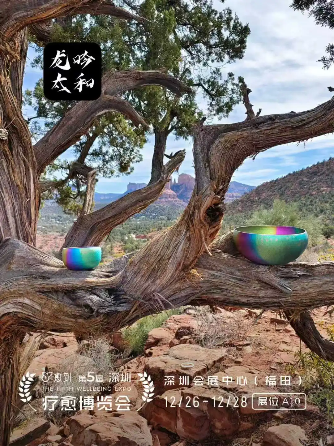龙吟太和:全球疗愈经济引领者