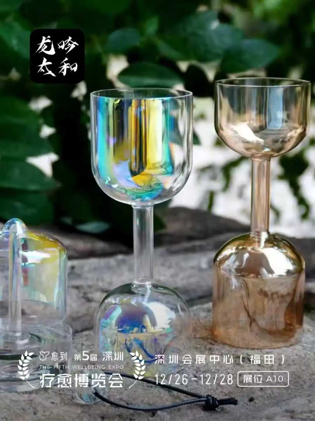 龙吟太和:全球疗愈经济引领者