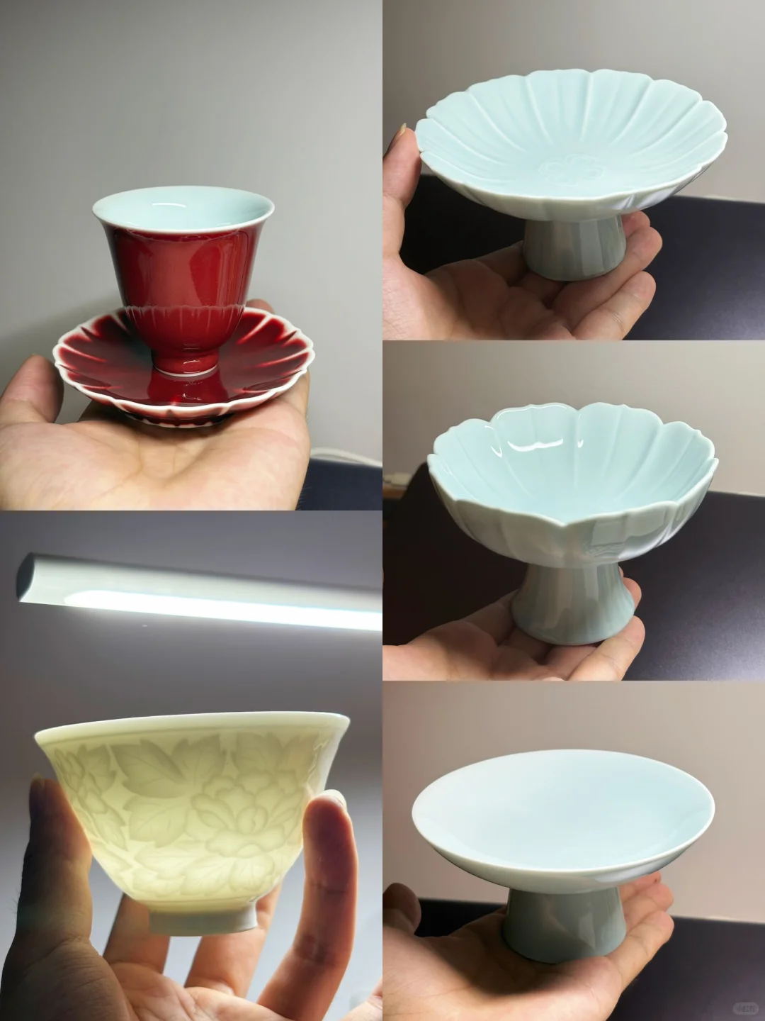 茶博会一日