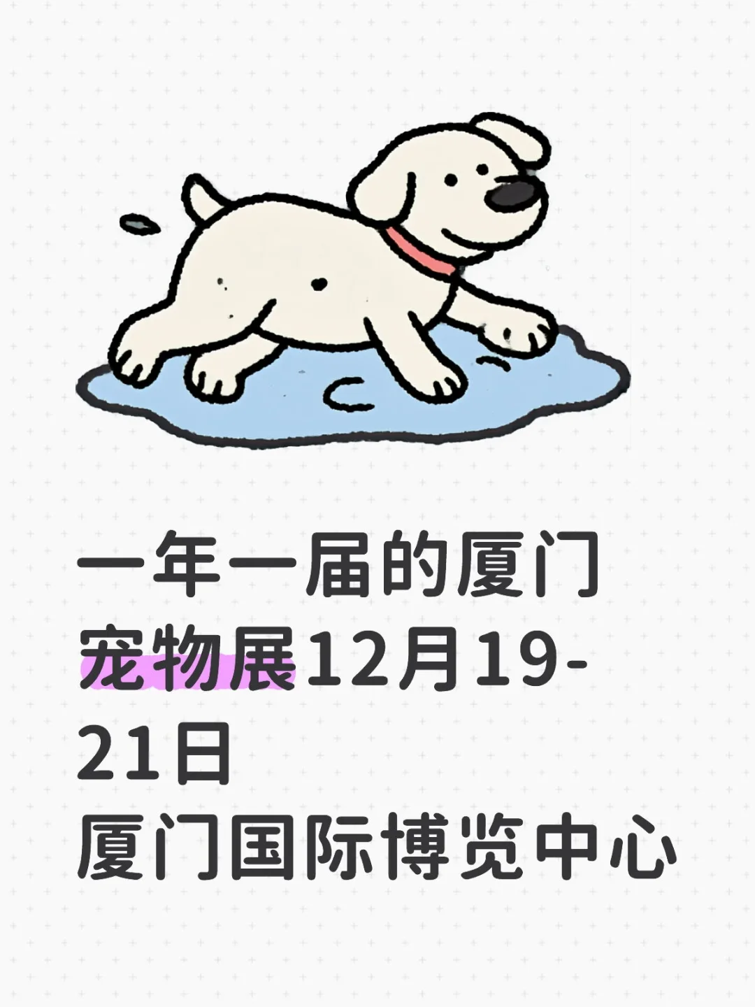 一年一届的2025厦门宠物展