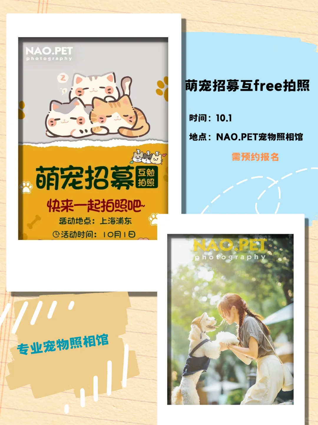 ?上海十月｜宠物主题活动合集??