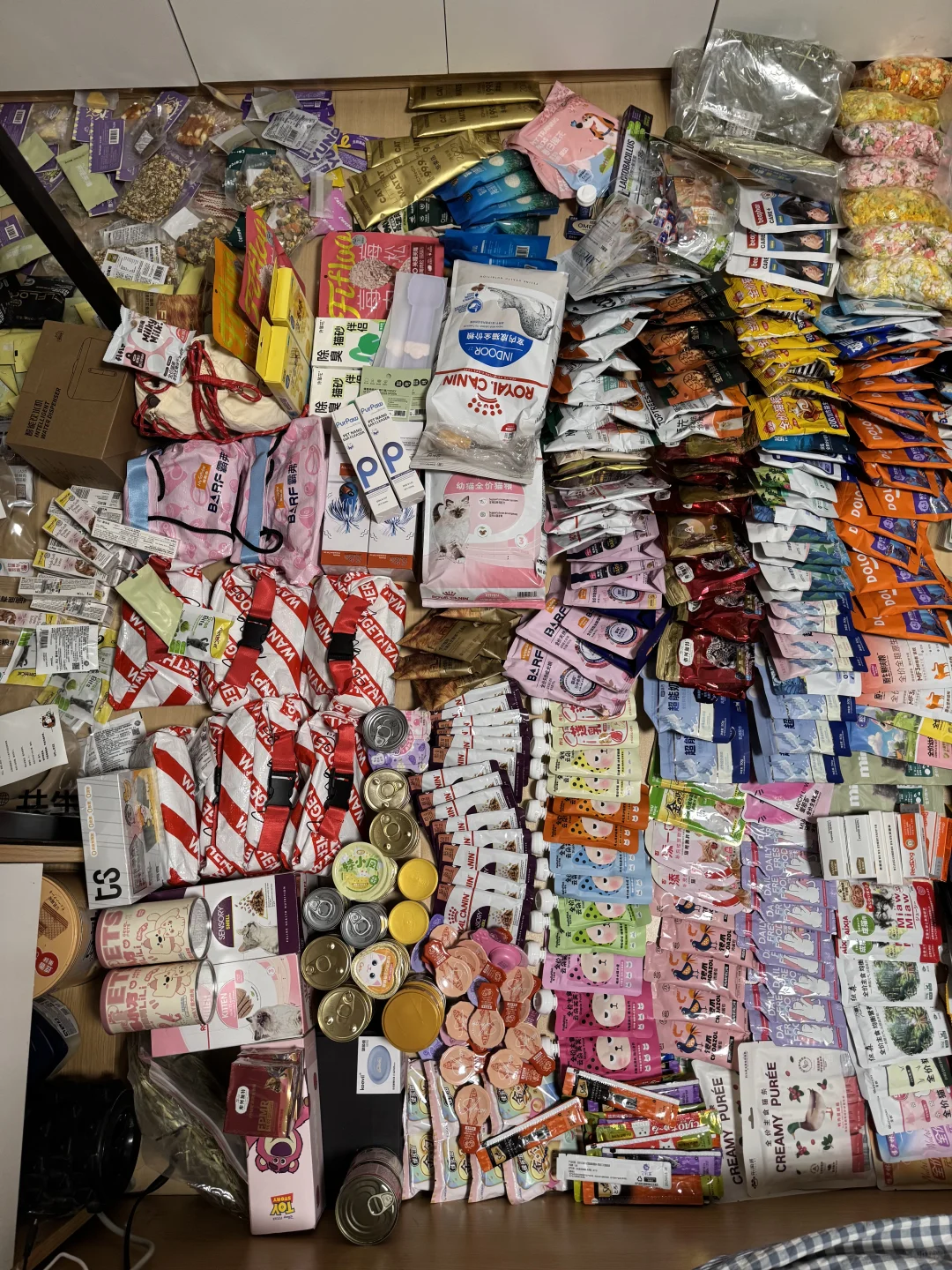 2025亚宠展全图鉴,累死我了!收获不错