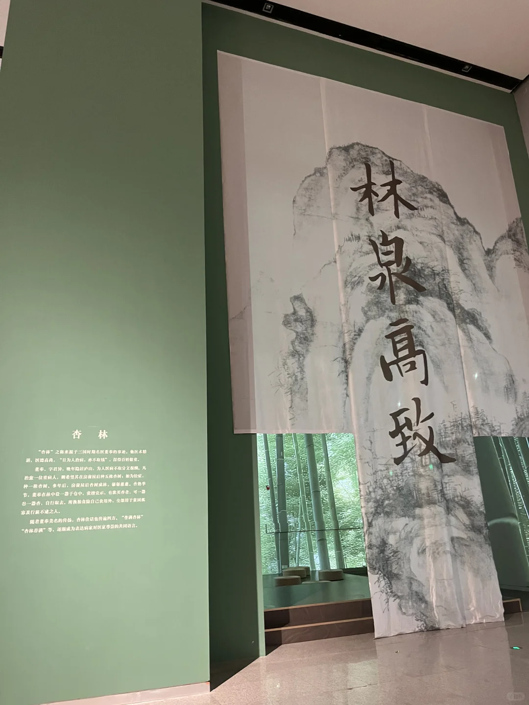 被中药香偷袭的看展体验!?策展人太会了!