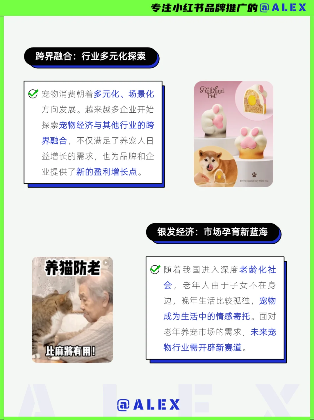 下一个母婴赛道?2025最新万亿市场宠物经济