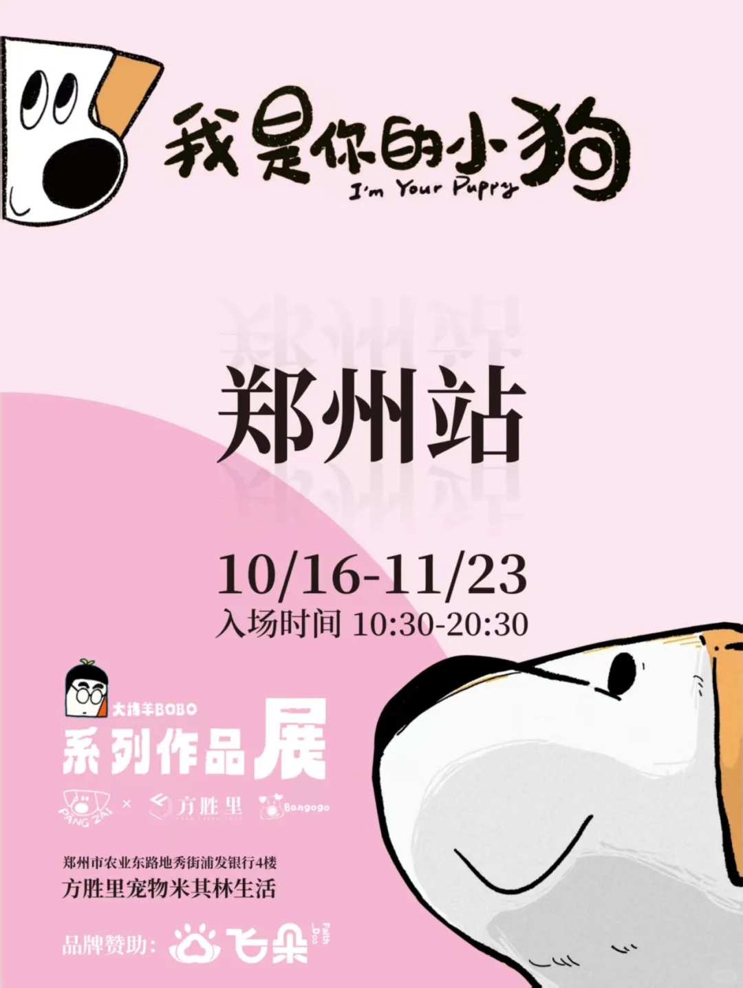 郑州小狗展！快来和小狗一起逛展吧！
