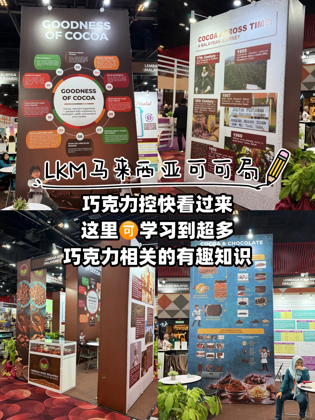 早知我就带行李箱来‼️周末去美食展吃吃喝喝