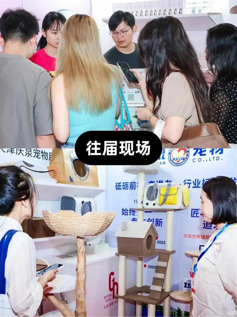 深圳宠物用品展攻略|毛孩天堂?