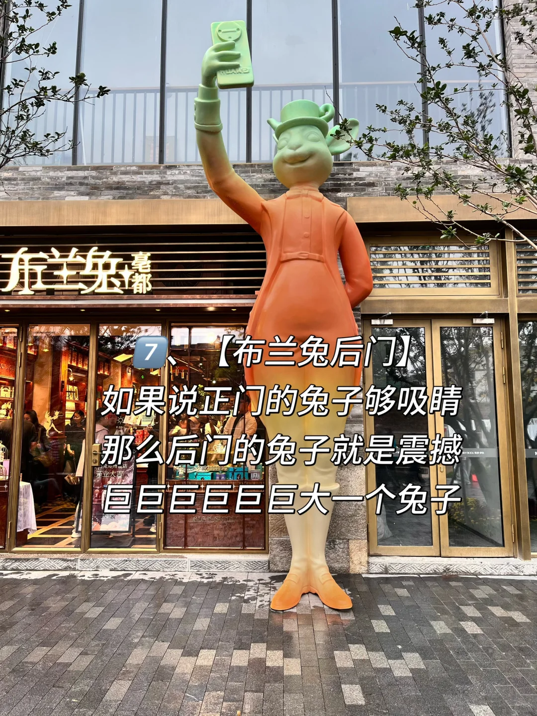 真诚分享?亳都·新象九大打卡机位出炉?