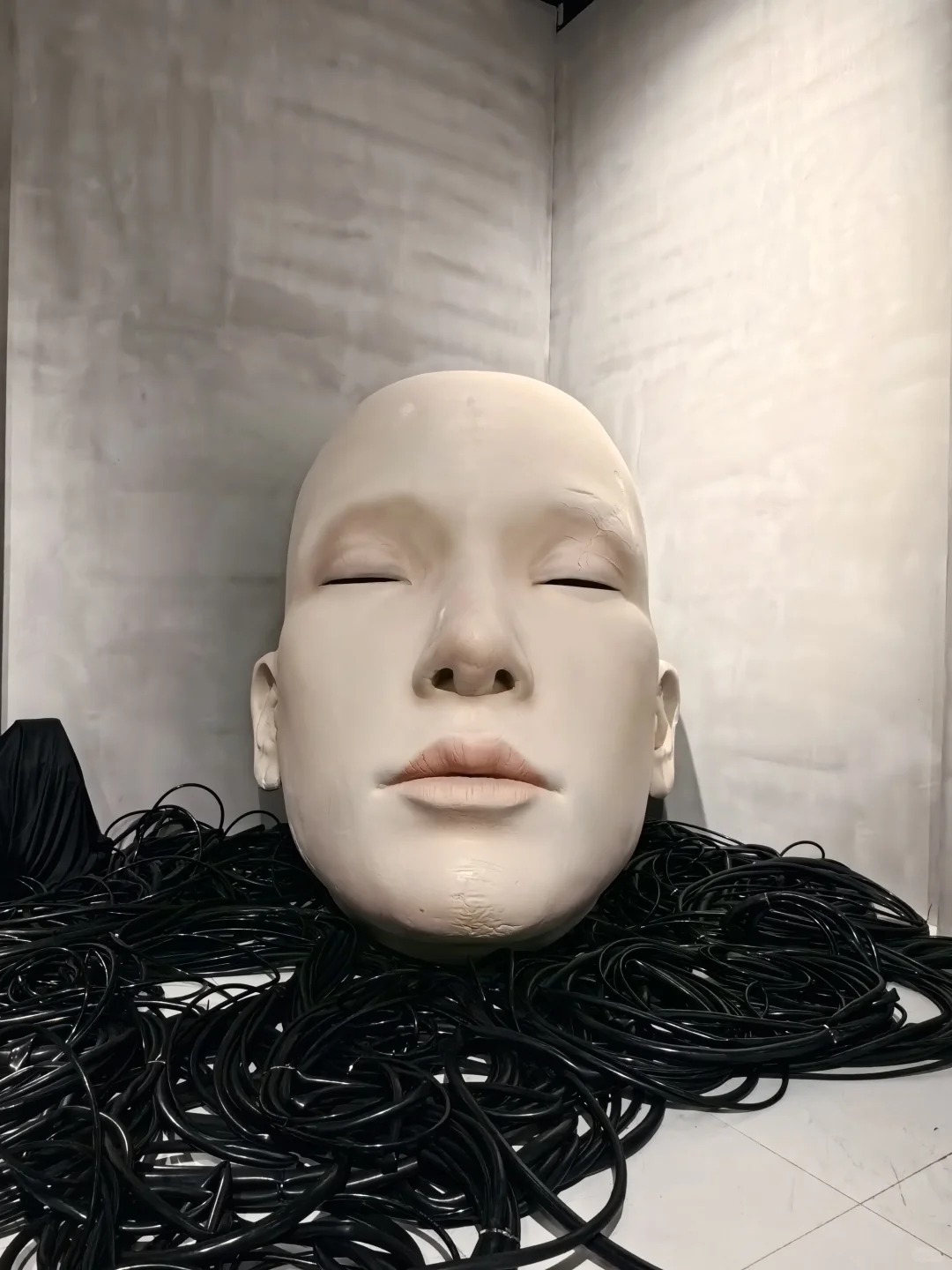????? ????巨人展!不在魔都在郑州