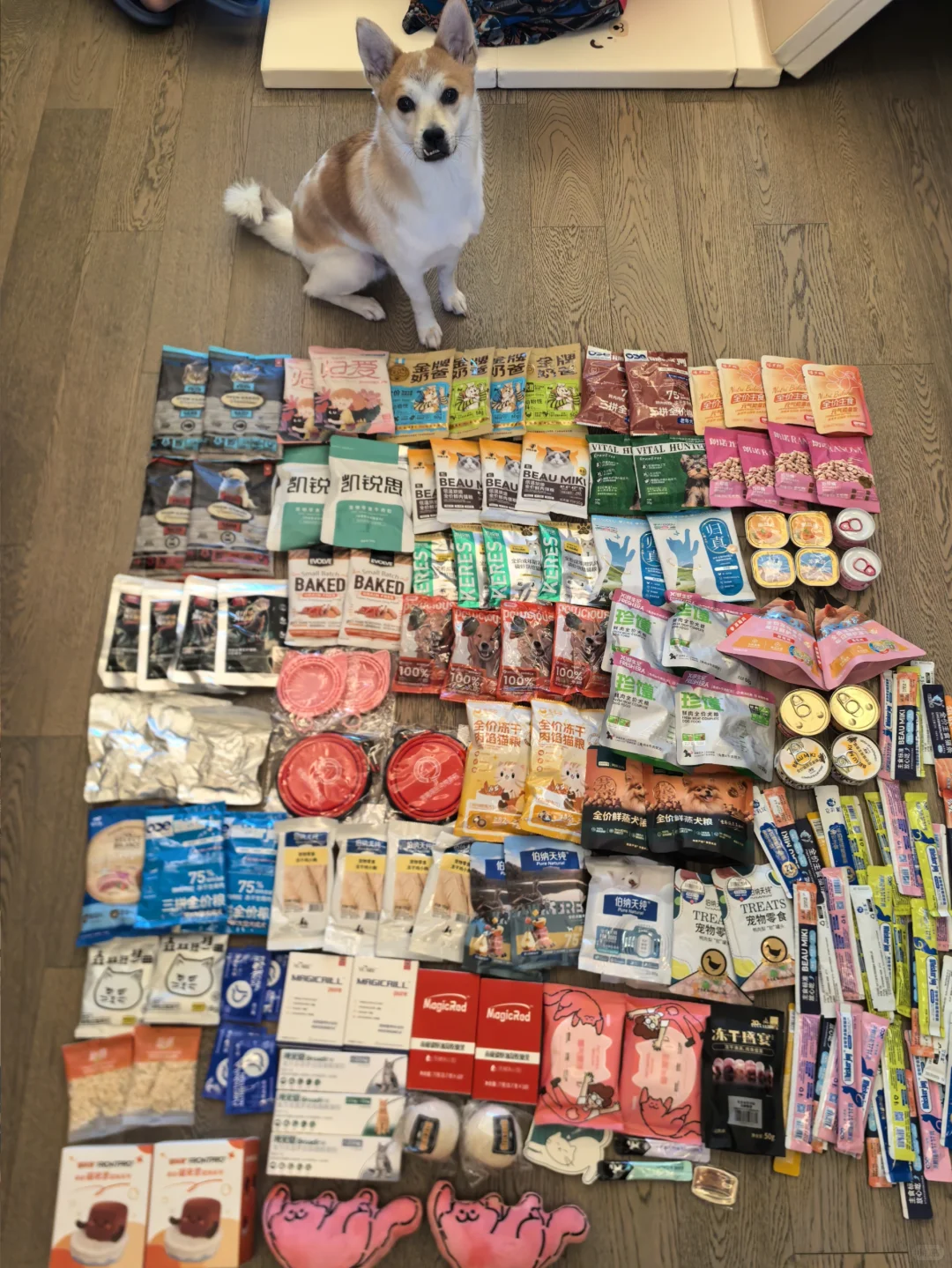 ?|亚宠展排这些超值!?