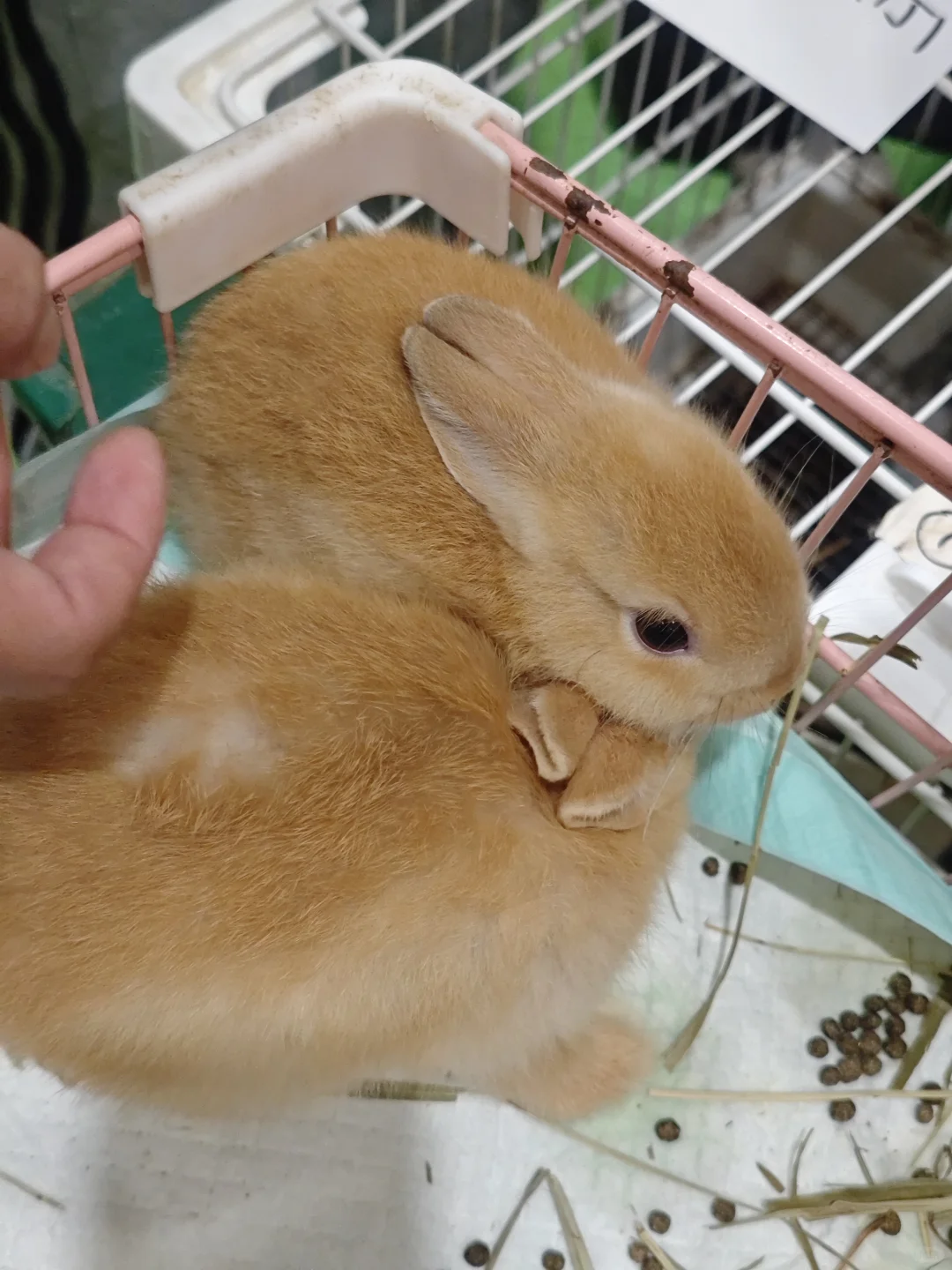 礼品展结算画面