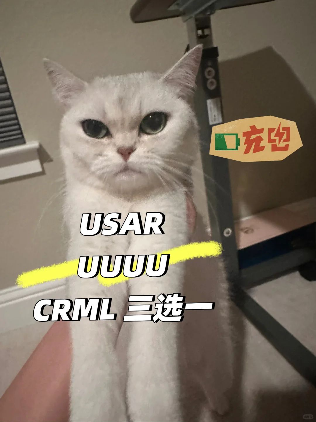 UUUU稀土概念股-最新市场News