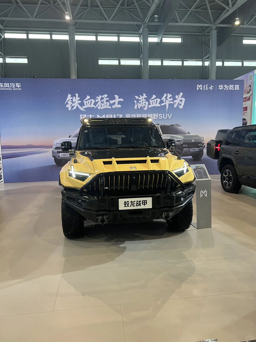 车展羊毛党