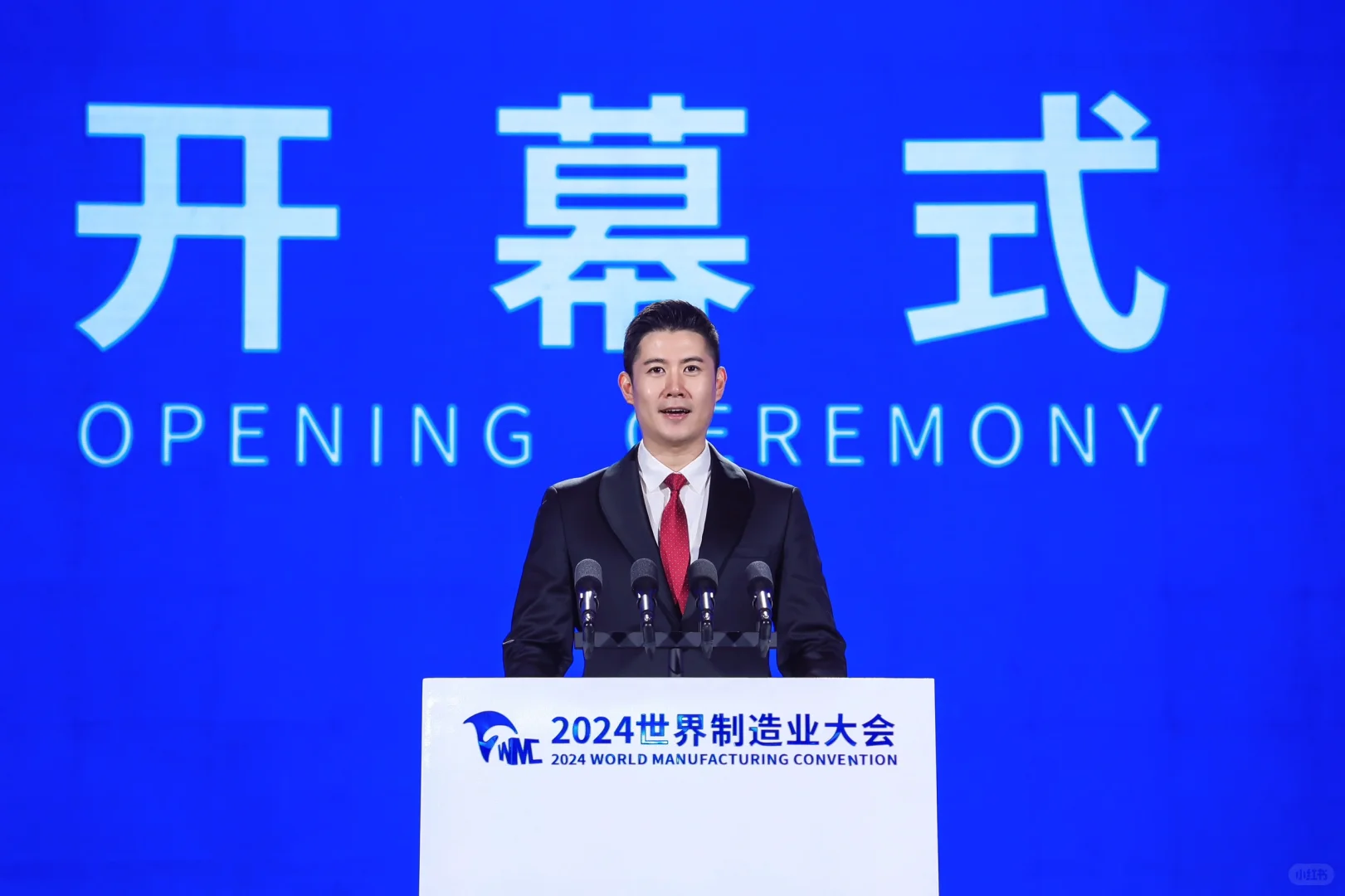 2024 世界制造业大会在安徽合肥隆重举行