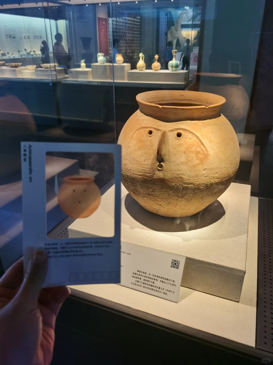 强推深圳博物馆官方研学资料