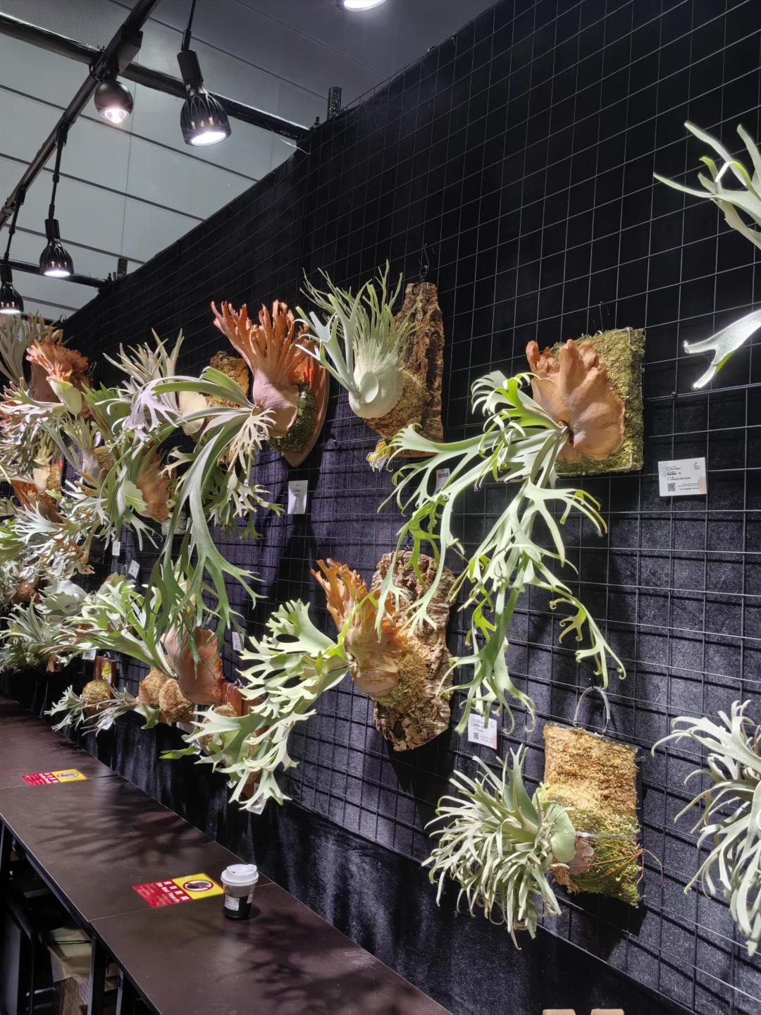 热植展去到就是赚到!年轻人的鸡蛋太多啦