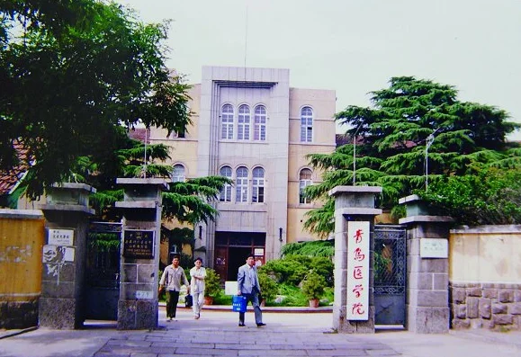 青岛大学王牌专业和就业去向