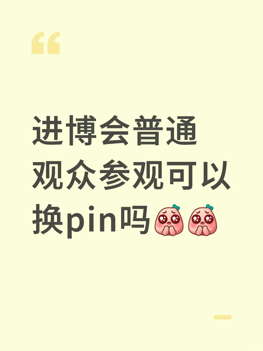 进博会普通观众参观可以换pin吗