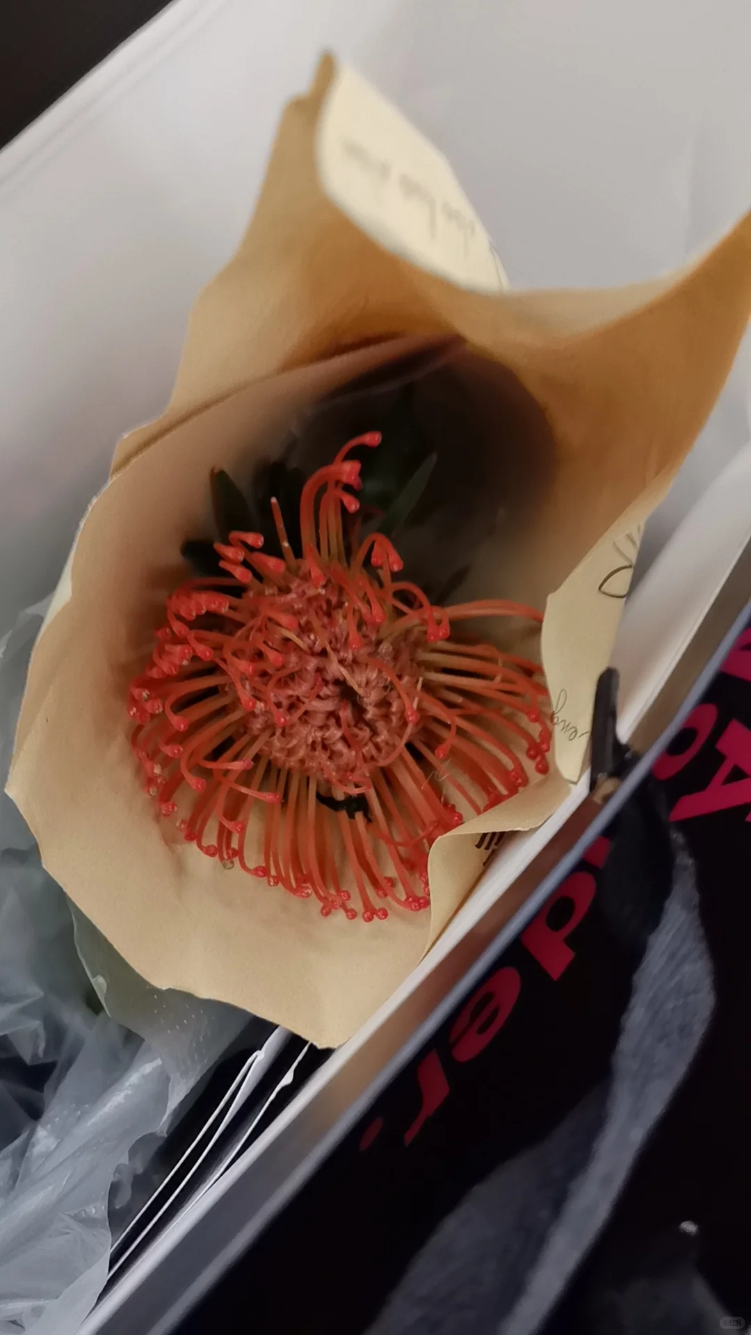 热植展去到就是赚到!年轻人的鸡蛋太多啦