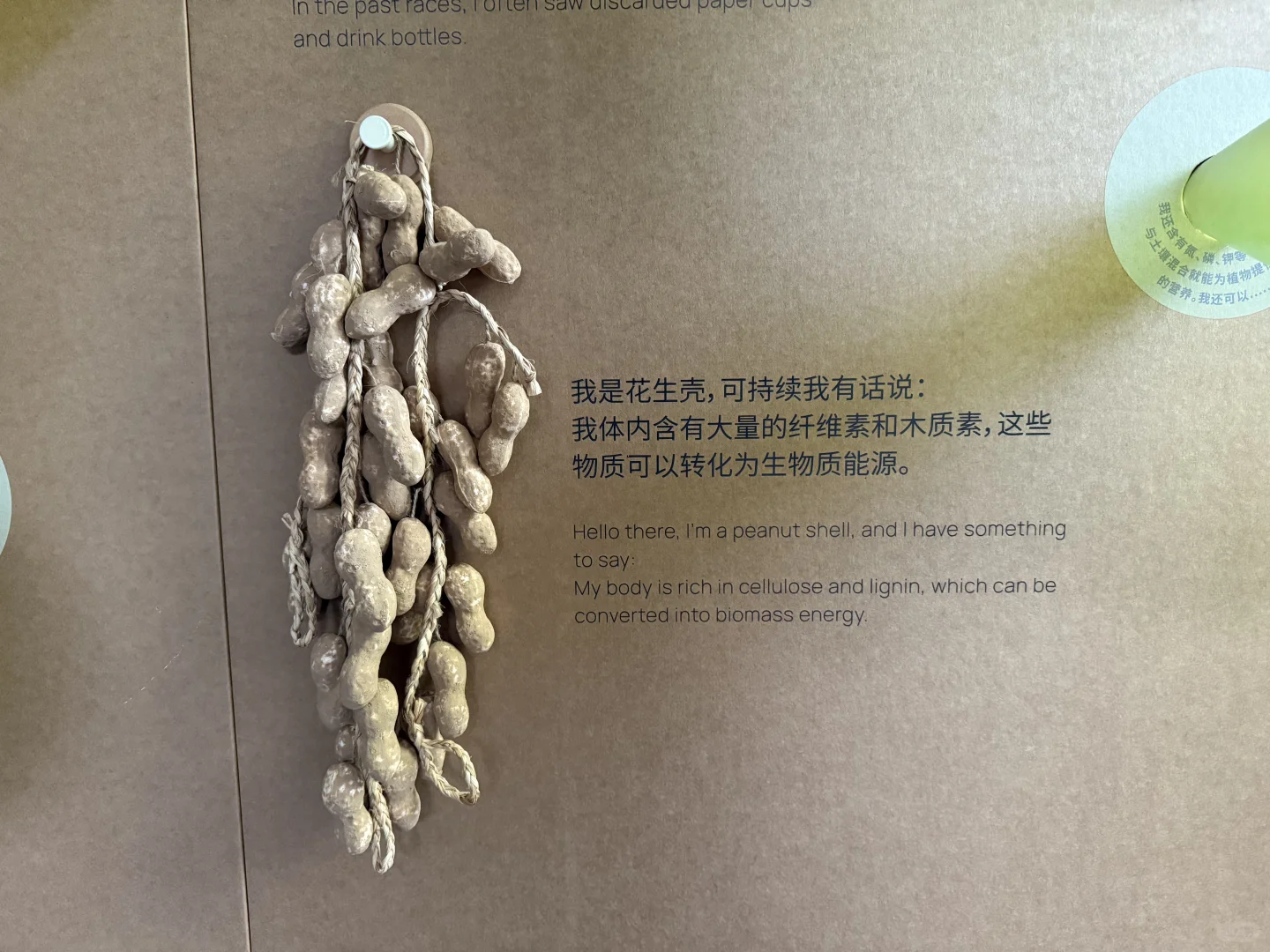 上海好展 ｜ 绿动生长可持续设计展
