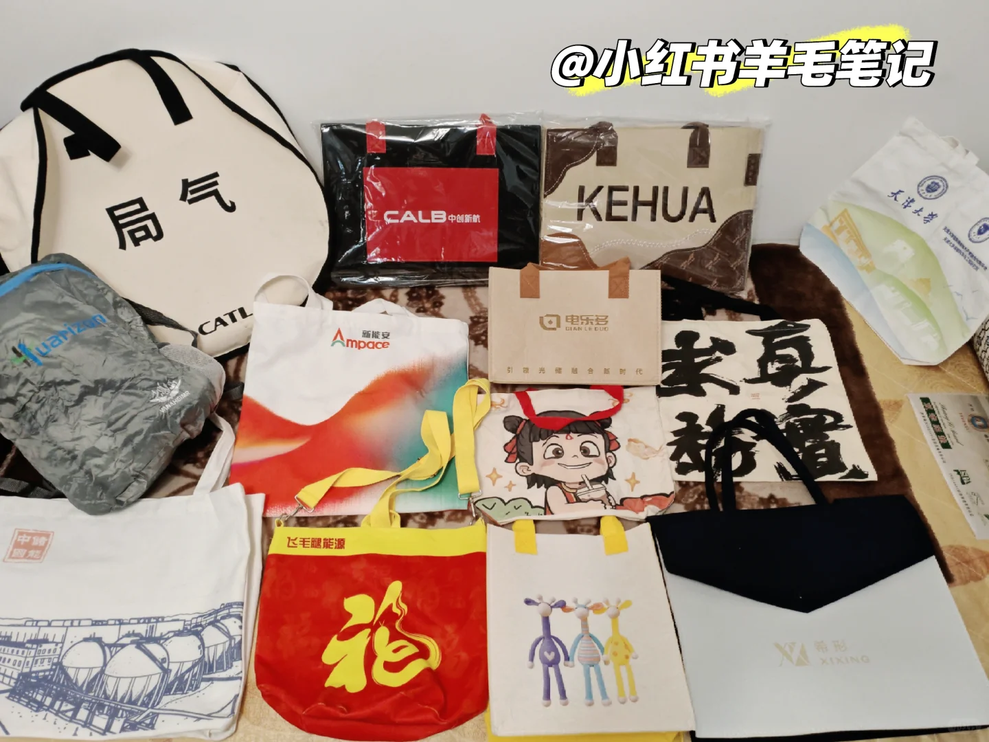 储能展羊毛制霸攻略(上)