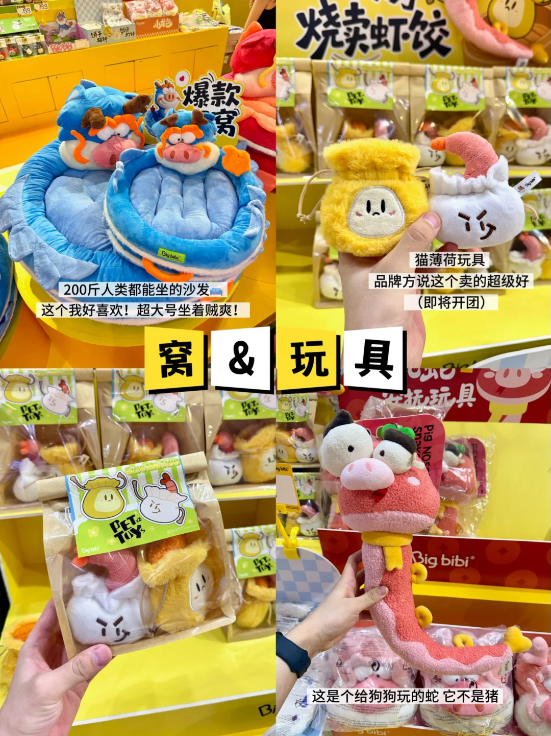 亚宠展新品?宠物团长带你一起逛展呀‼️