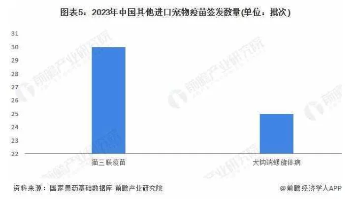一觉醒来宠物界发生了什么之2024/8/21