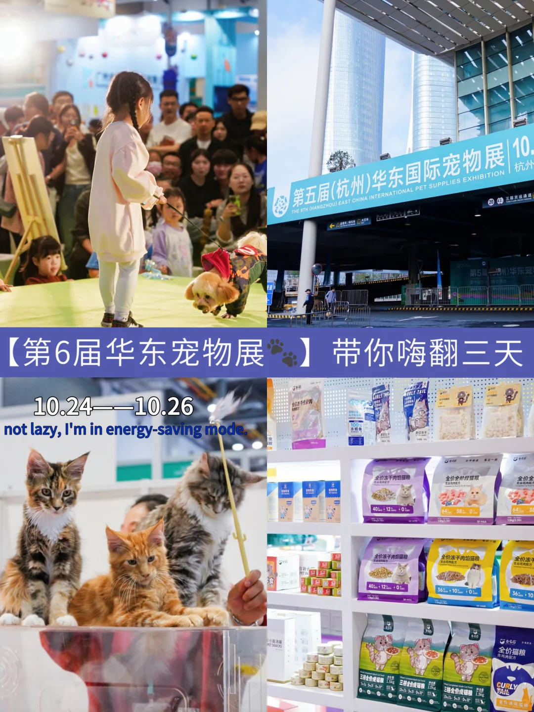【第6届华东宠物展?带你嗨翻三天】