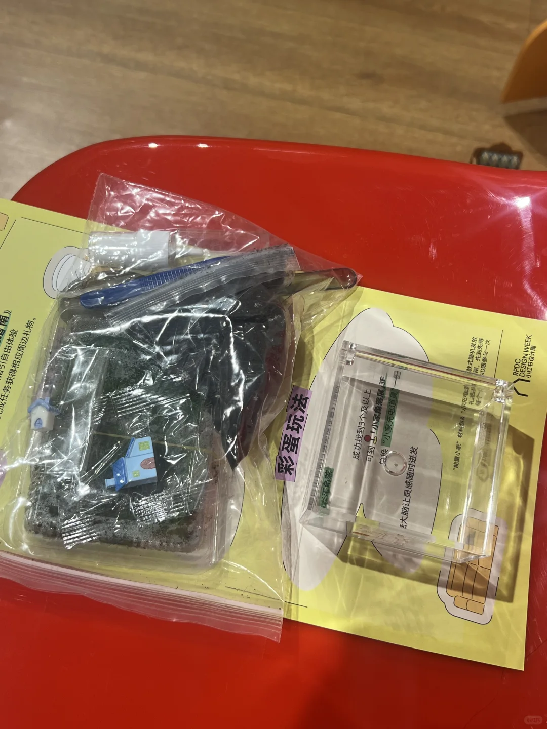 小红书设计周偶遇了超多薯队长?