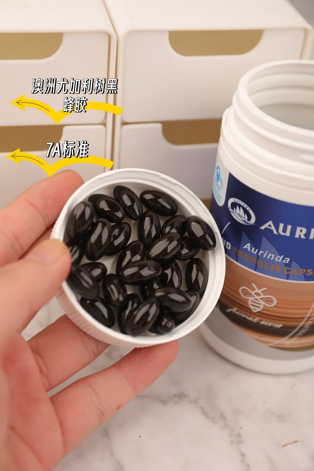 养生党私藏!进博会认可的宝藏