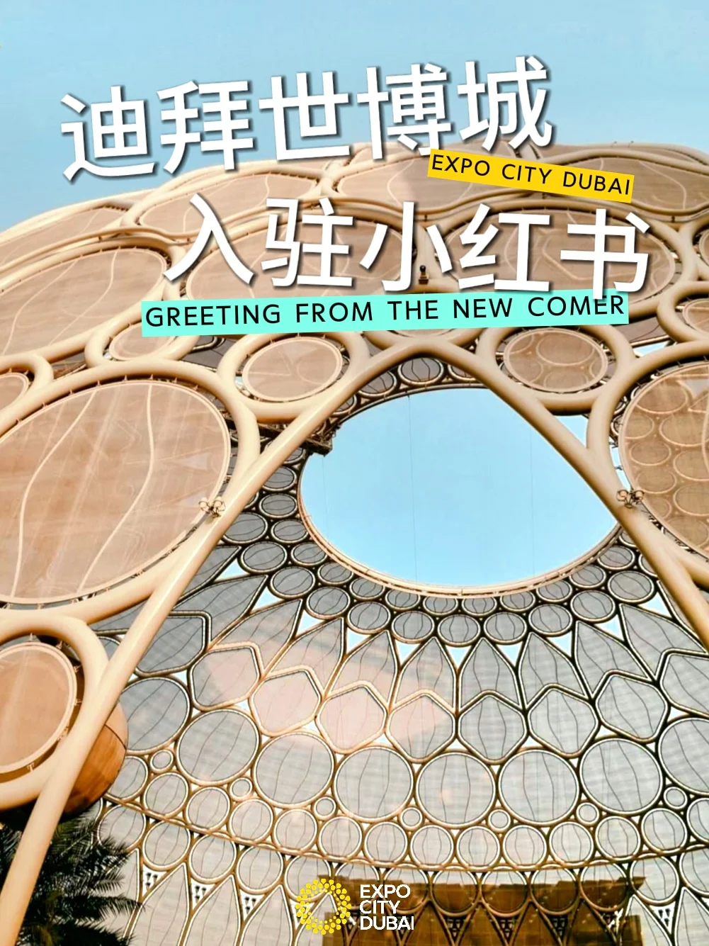 官宣❗迪拜世博城正式入驻小红书啦!