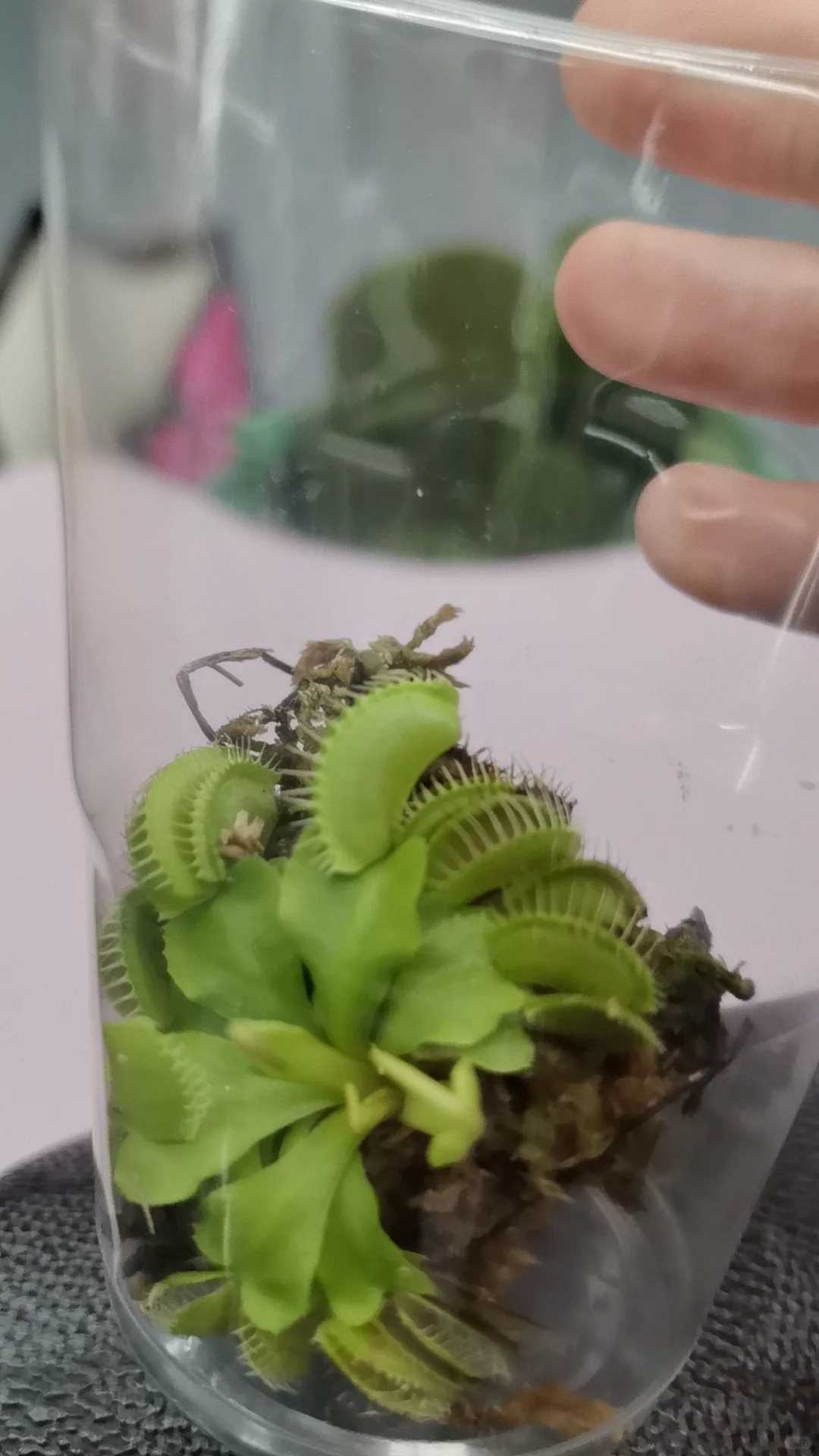 热植展去到就是赚到!年轻人的鸡蛋太多啦
