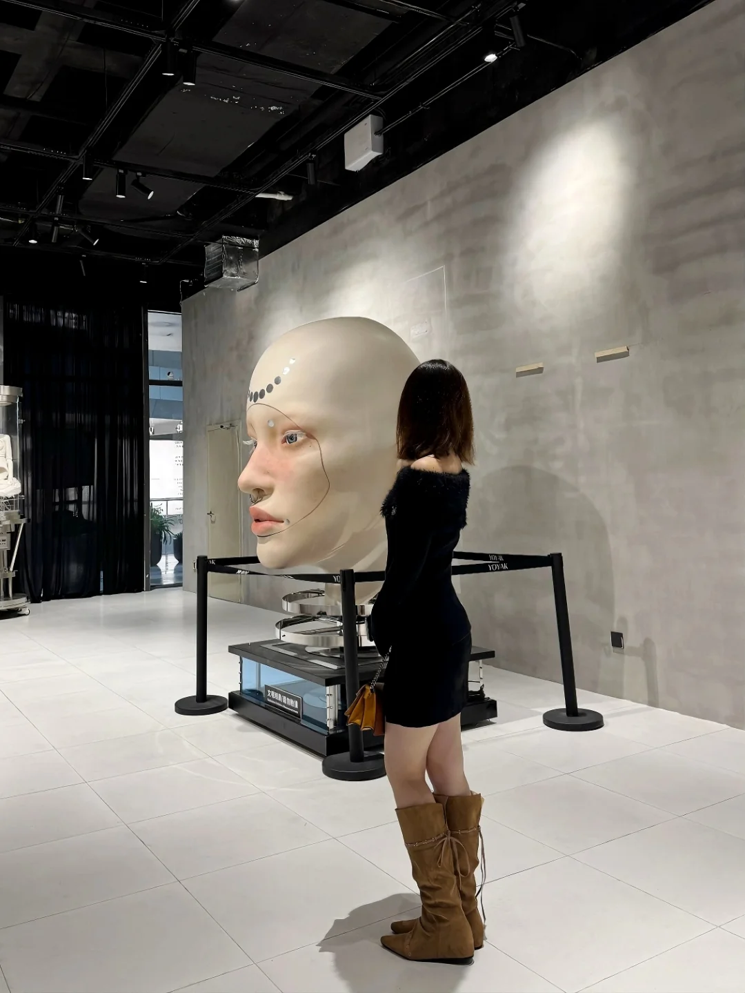 ?YOYAK艺术展|郑州也有科技感巨人展了!