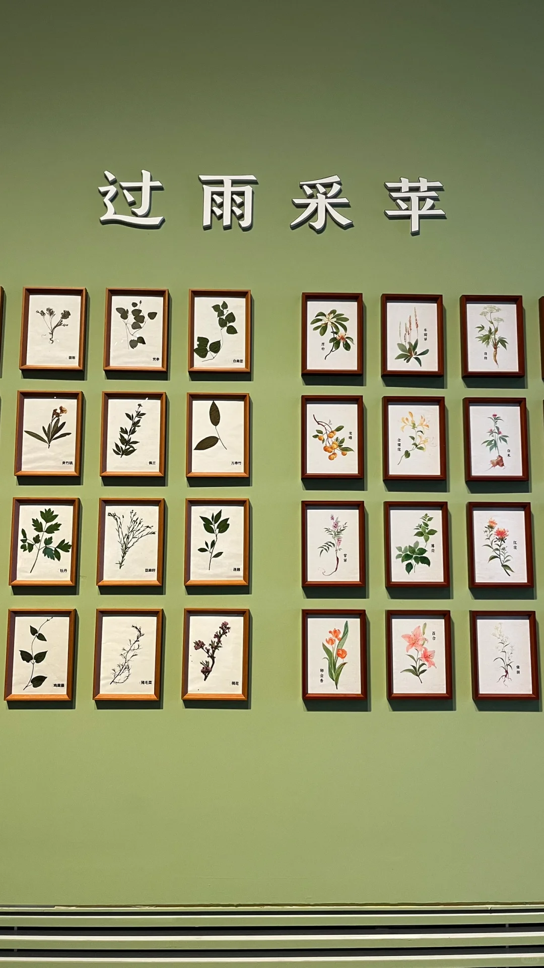 被中药香偷袭的看展体验!?策展人太会了!