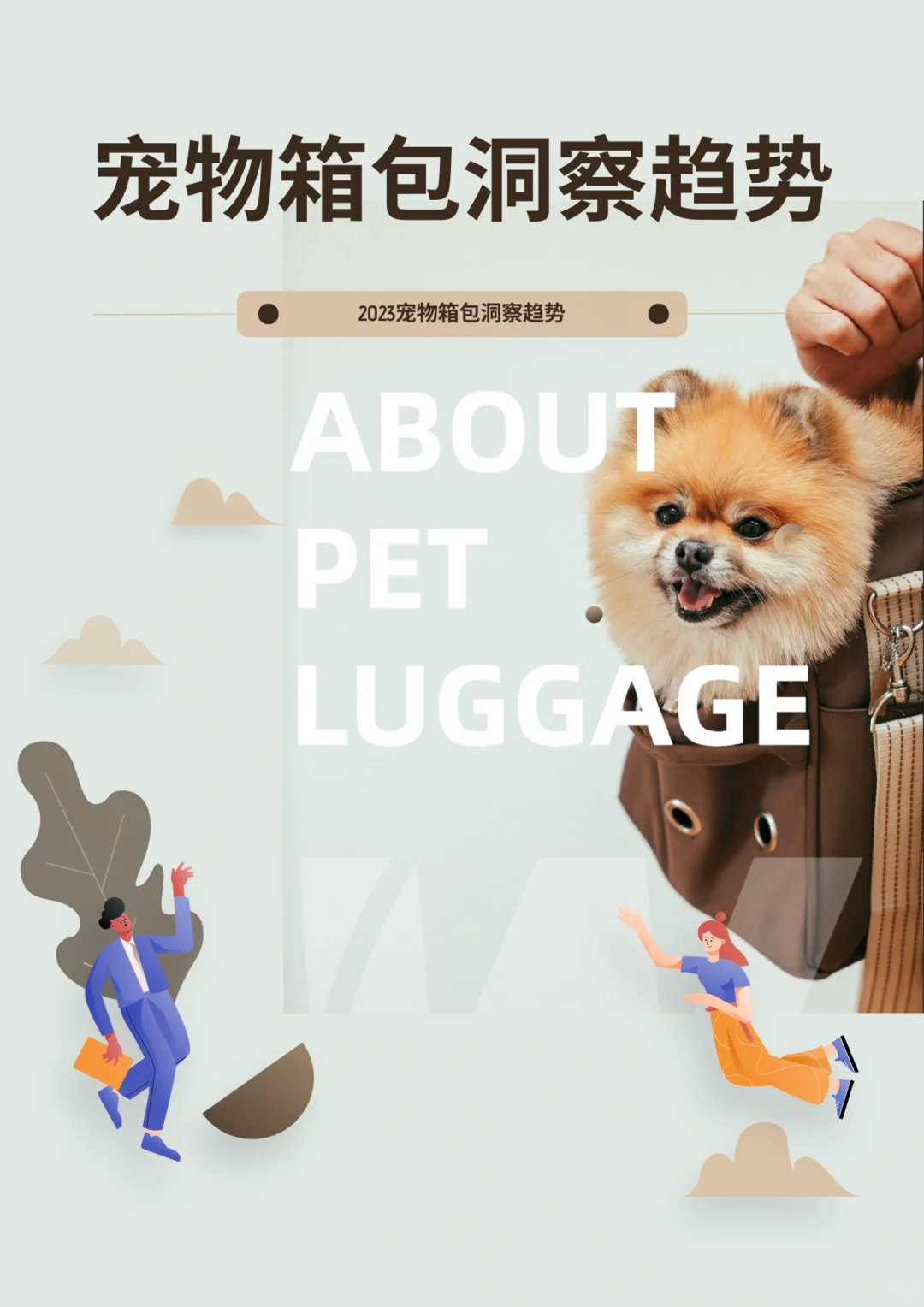 2023宠物箱包趋势洞察