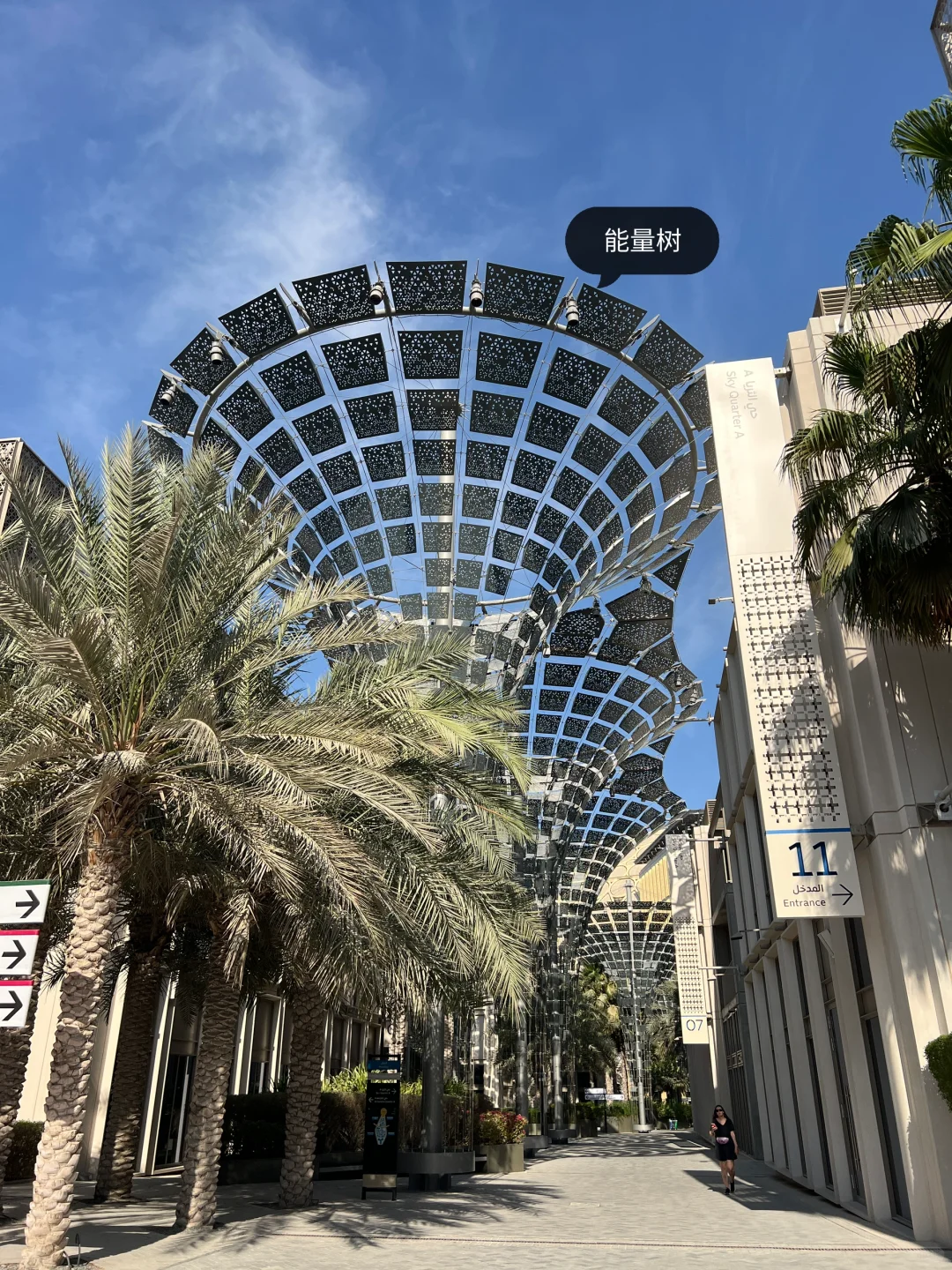 迪拜|世博园EXPO 2020暴走看建