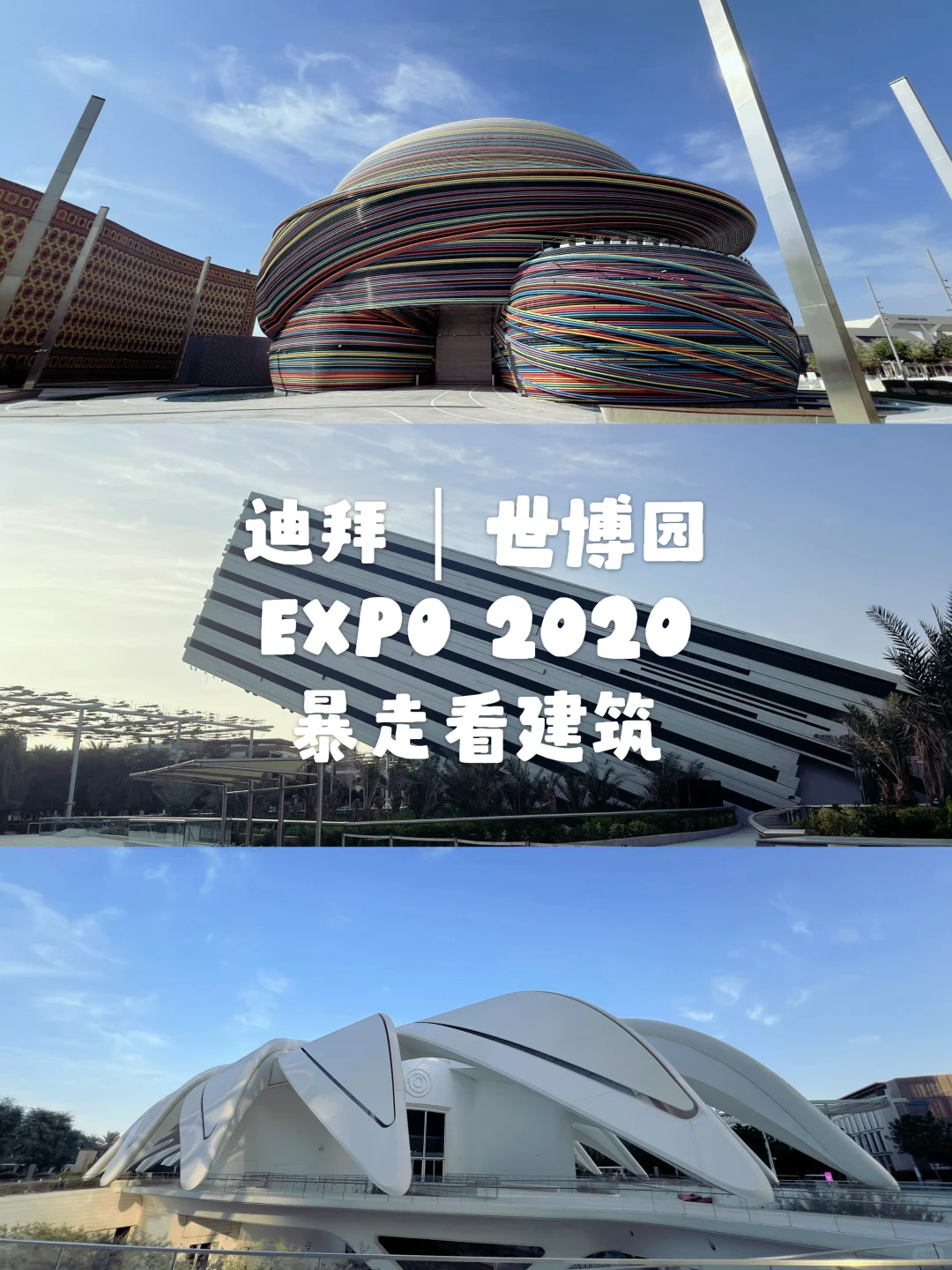 迪拜|世博园EXPO 2020暴走看建