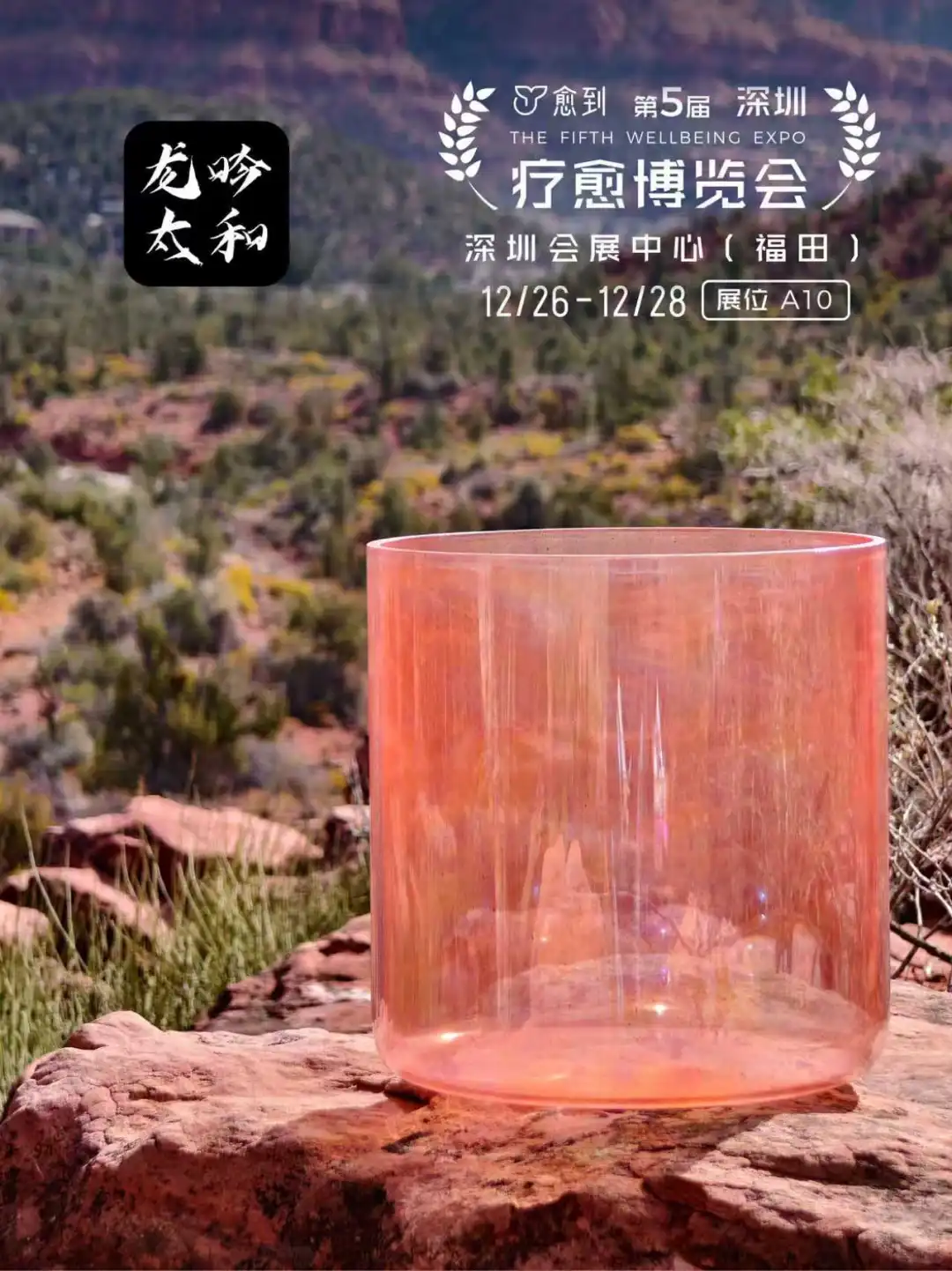龙吟太和:全球疗愈经济引领者