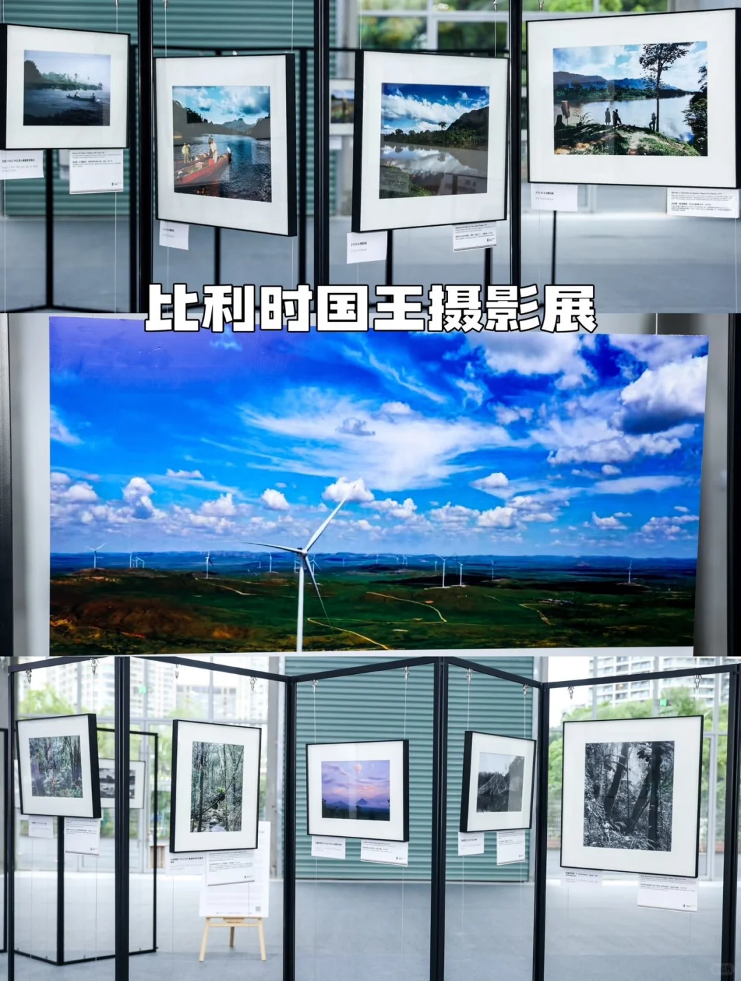 体验可持续全球大会前沿视角?涨知识领一堆
