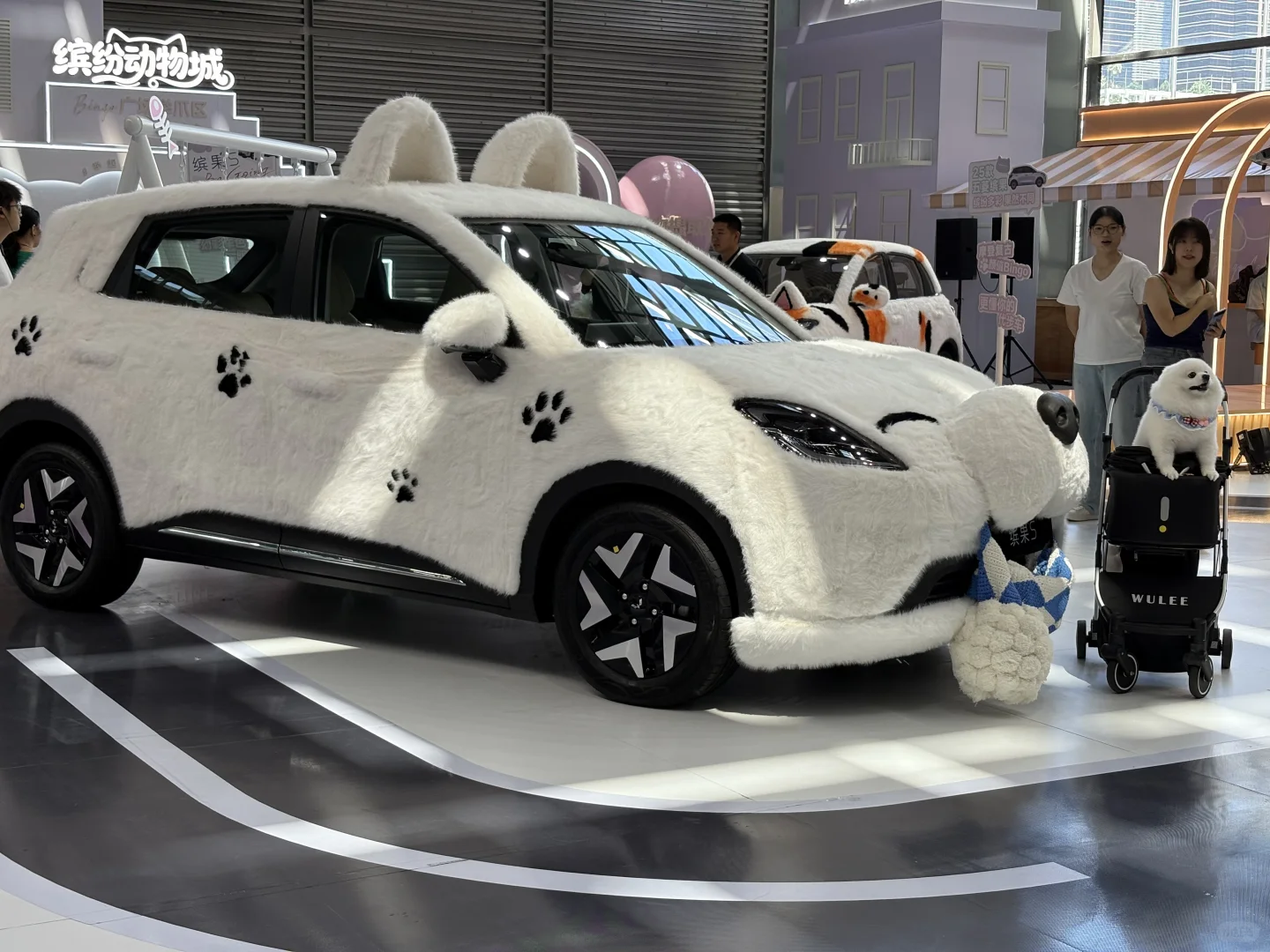 10.17-10.18宠物展兼职