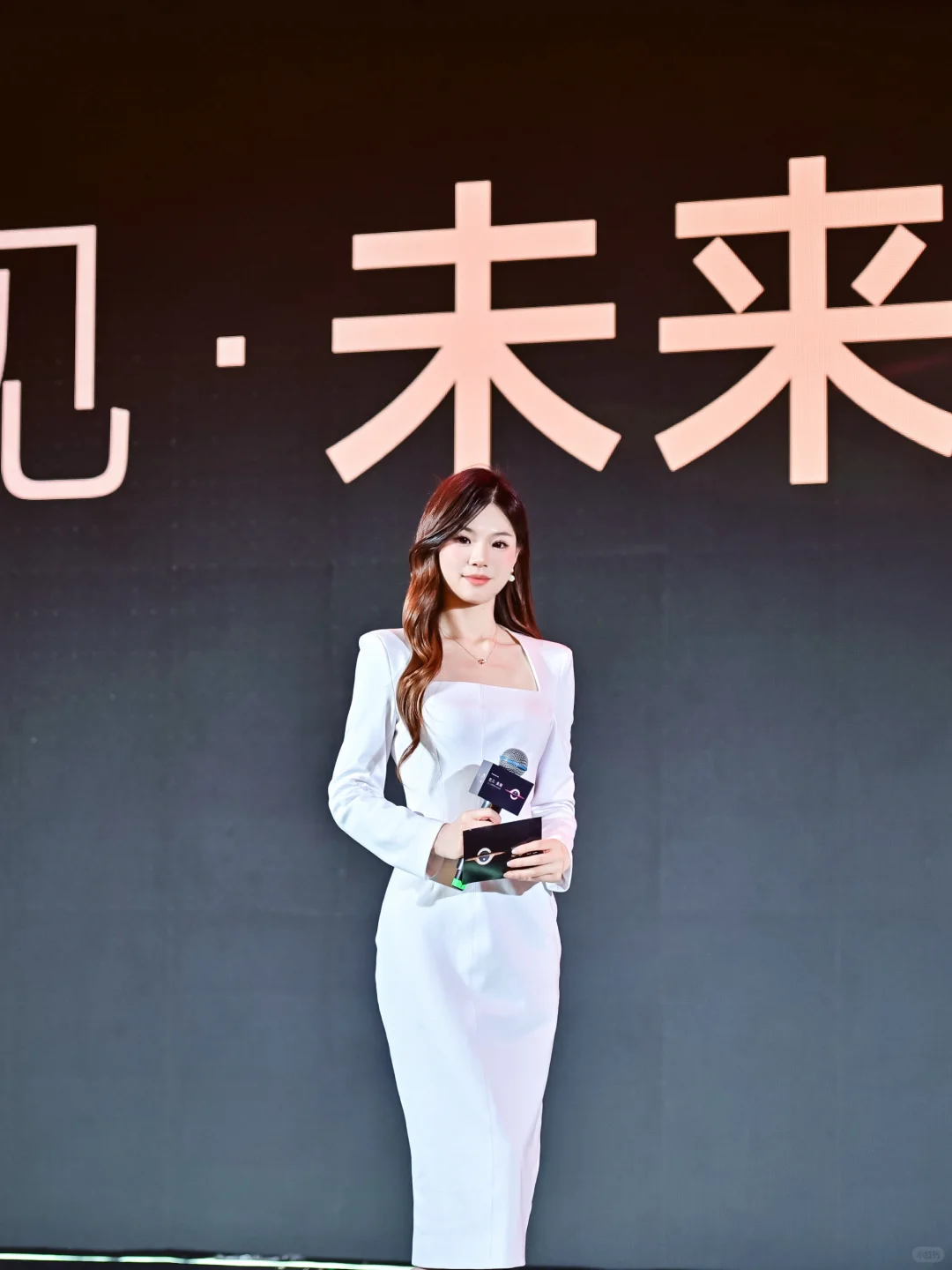 主持分享·追觅扫地机供应商峰会