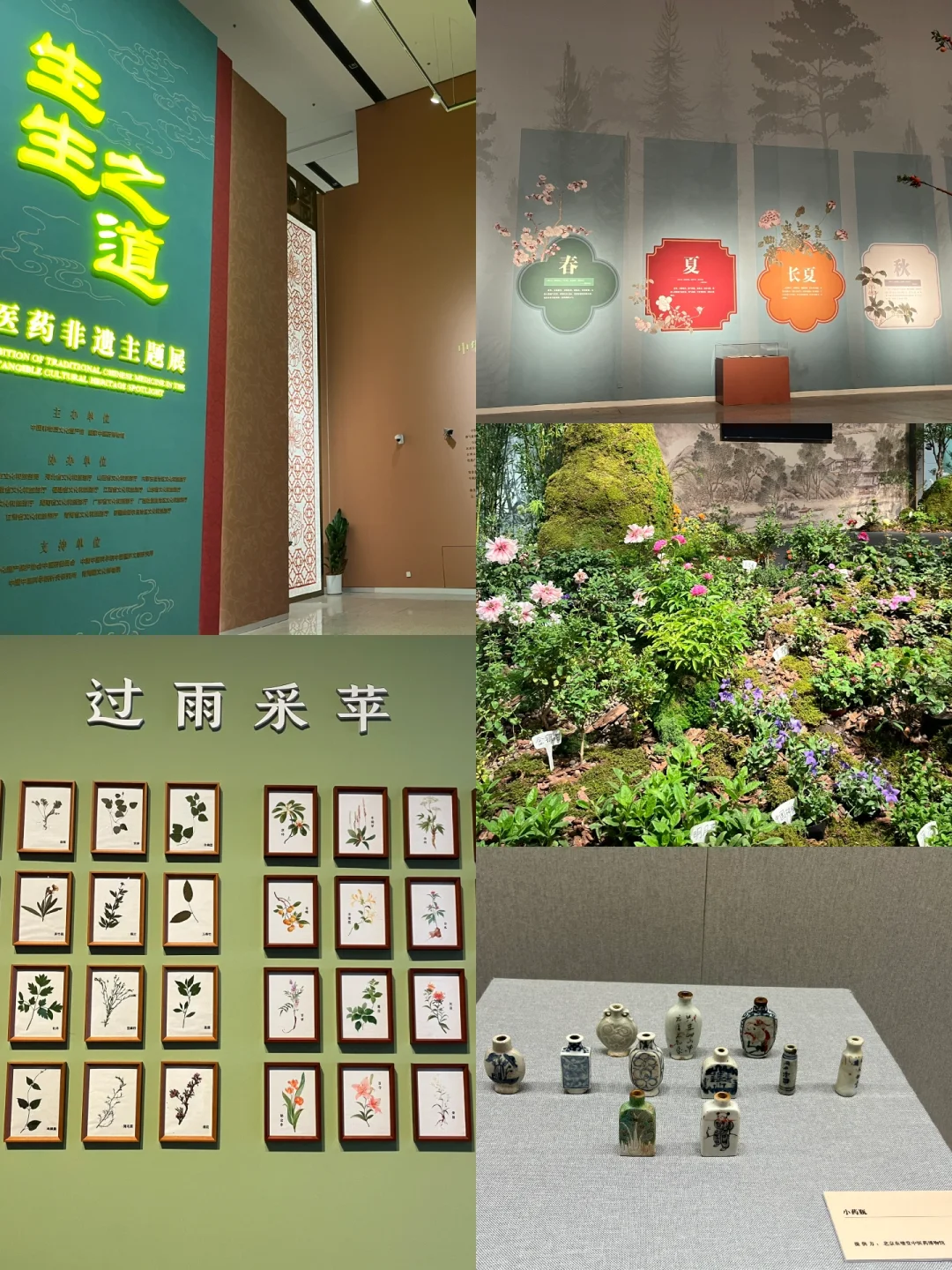 被中药香偷袭的看展体验!?策展人太会了!