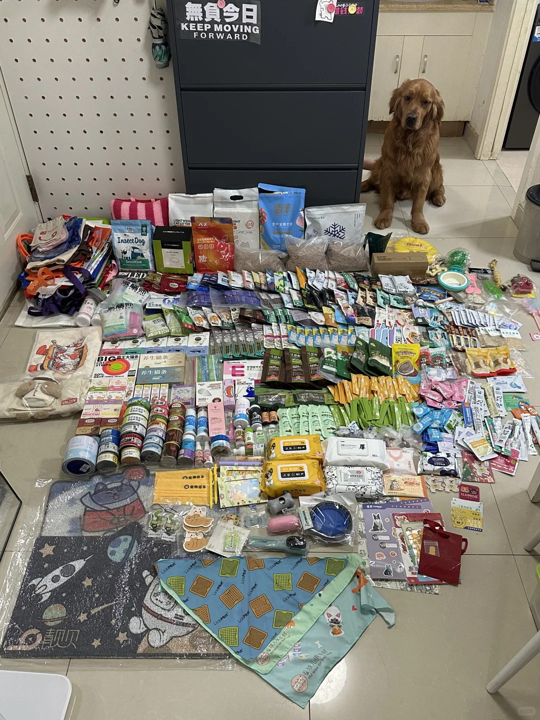 京宠展最后一天跟着我这么薅就对了