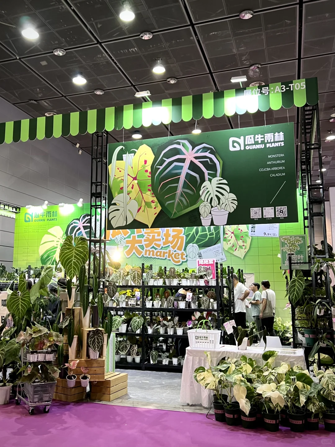 无锡免费入场的中花大会，只开三天！！